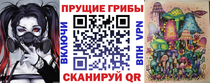Галлюциногенные грибы Psilocybe  цены   Нариманов 